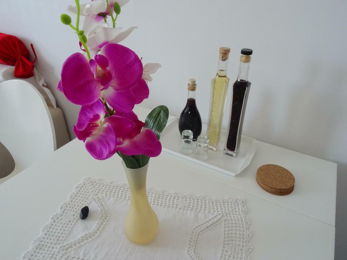 Apartma Tonka *